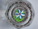 NEW. Perthshire Paperweight - 1976C Miniature faceted Flower
